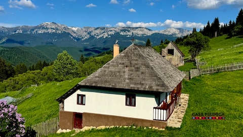 Casa Pelinica a charming traditional house