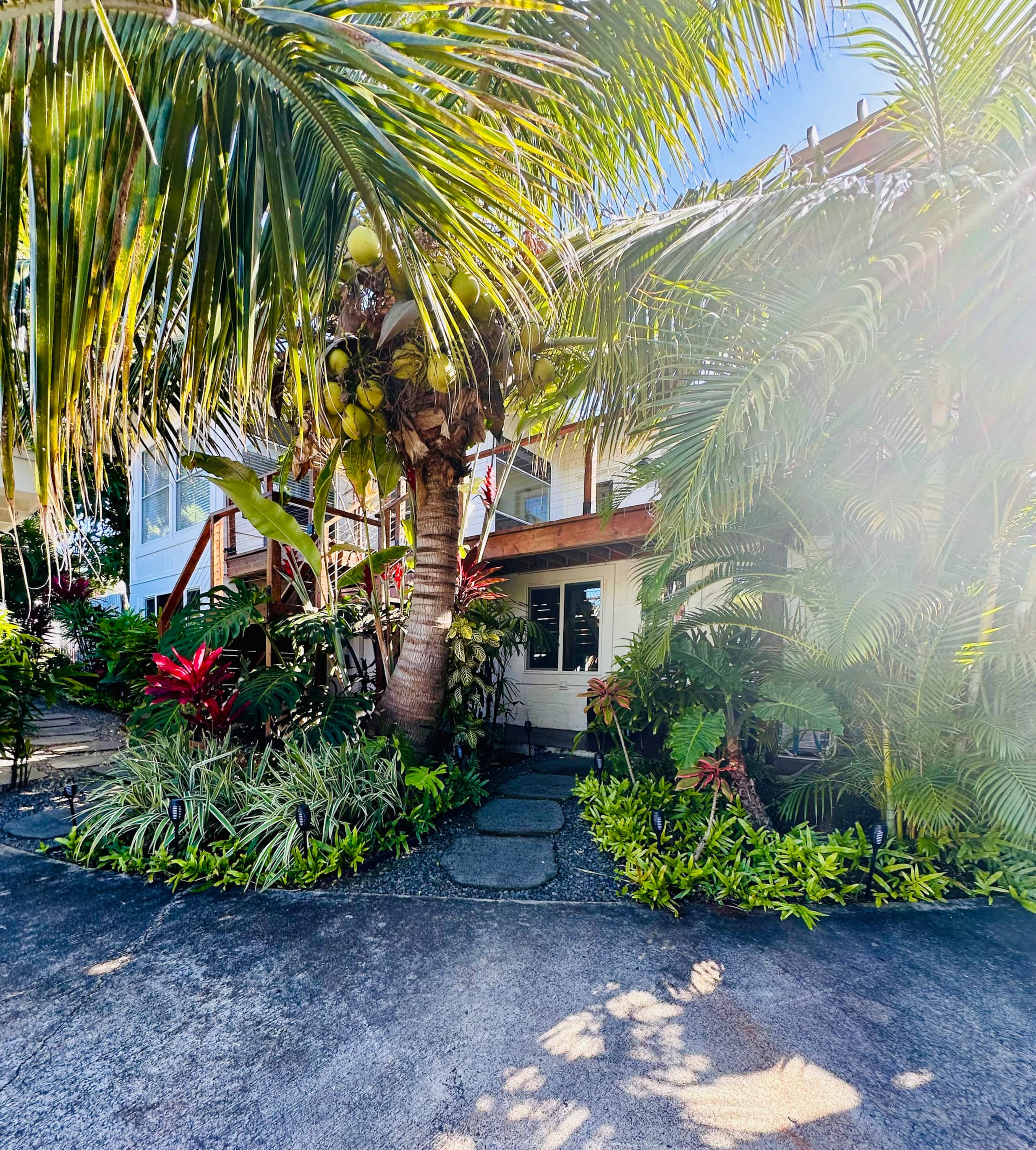 Guesthouse in Kailua · ★4.92 · 2 bedrooms · 2 beds · 1 private bath - Image 17