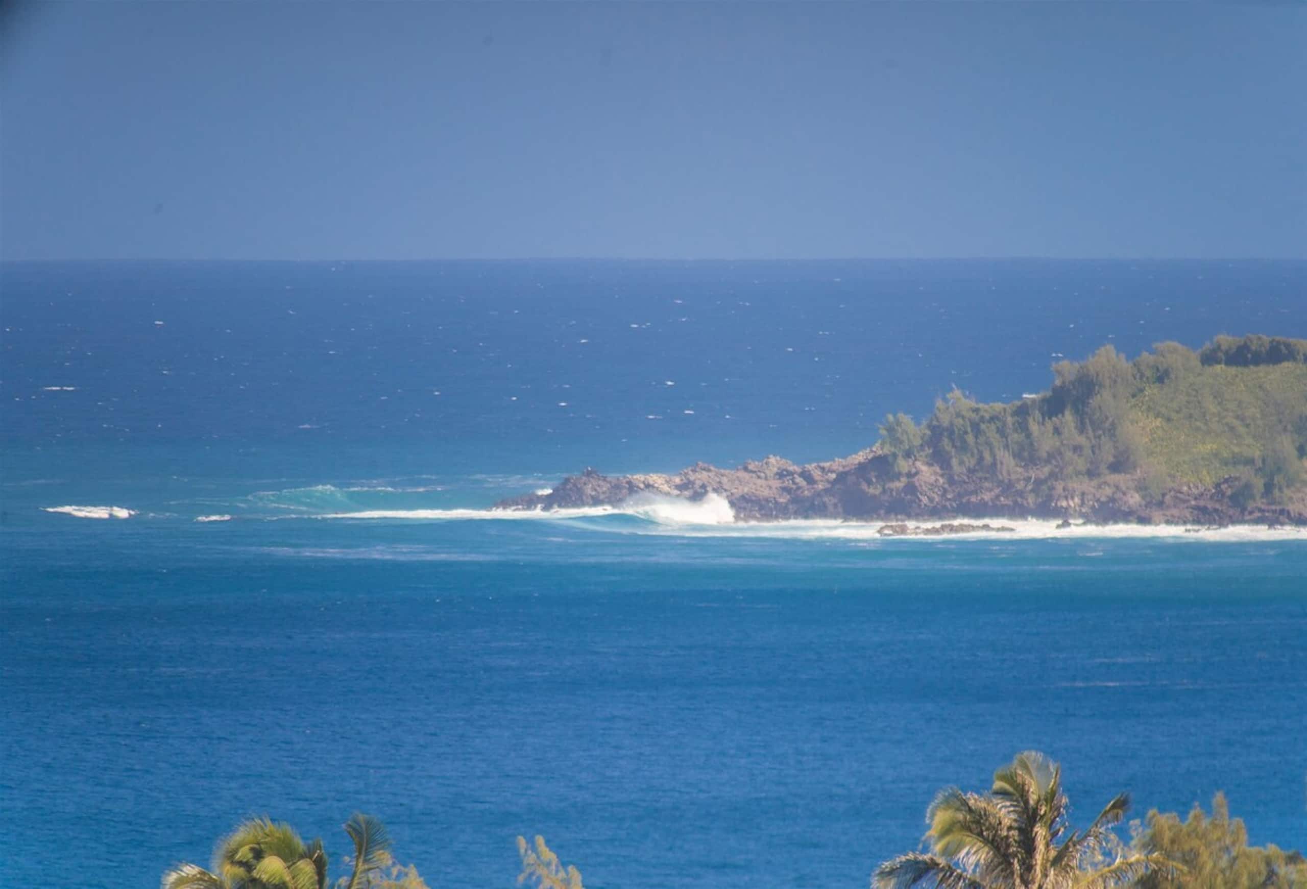 Villa in Lahaina · ★4.96 · 1 bedroom · 2 beds · 1.5 baths - Image 25