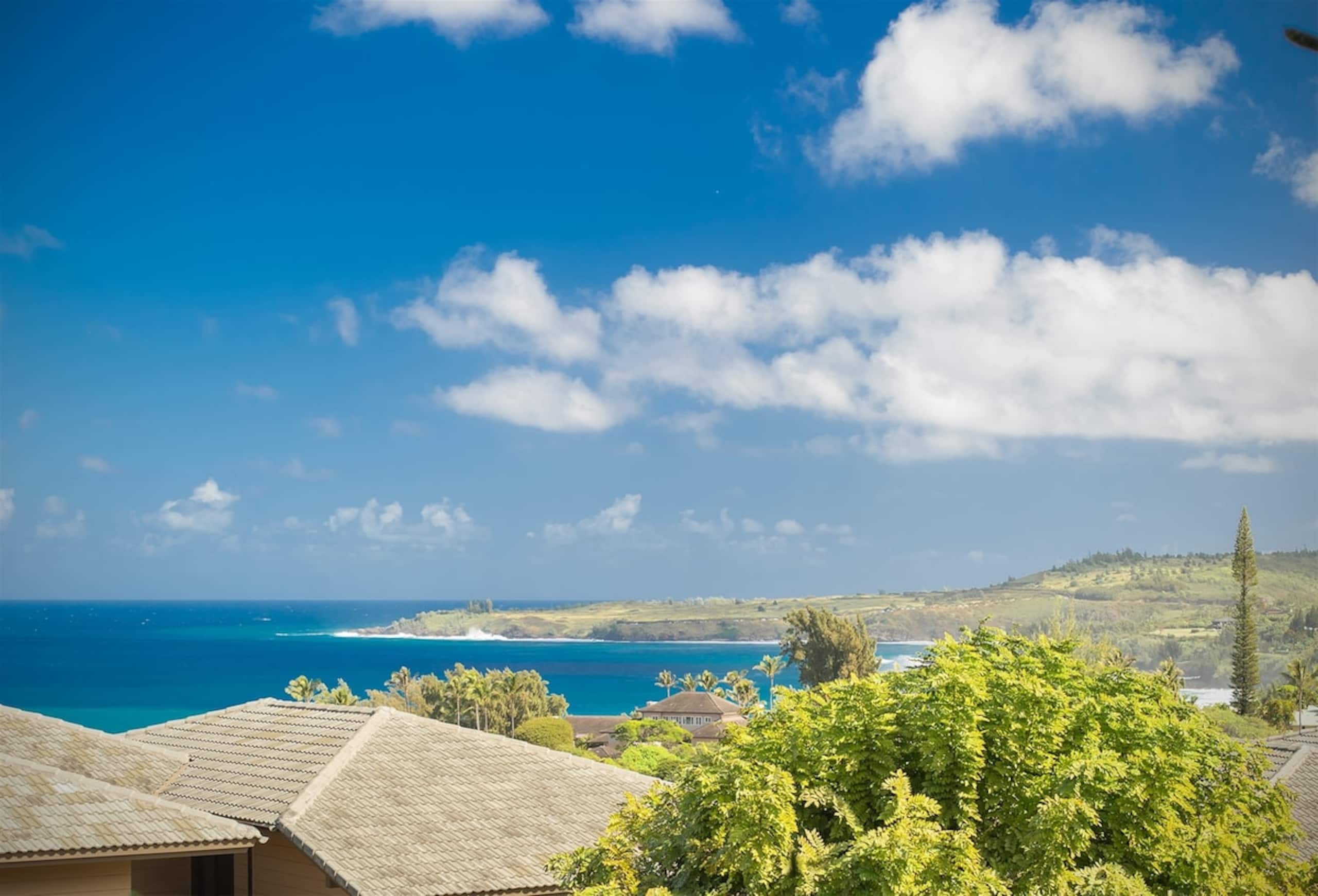 Villa in Lahaina · ★4.96 · 1 bedroom · 2 beds · 1.5 baths - Image 22