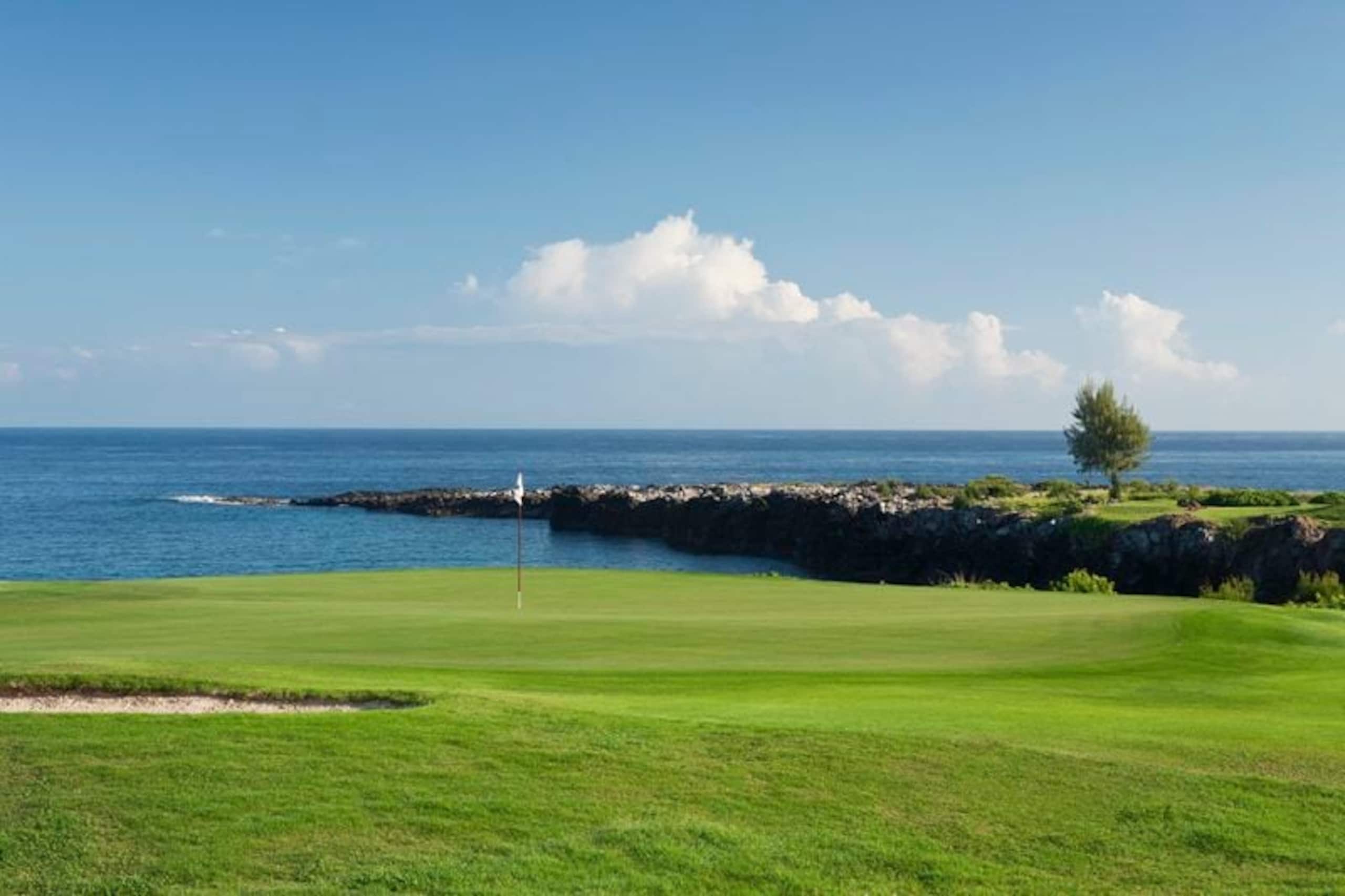 Villa in Lahaina · ★4.96 · 1 bedroom · 2 beds · 1.5 baths - Image 82