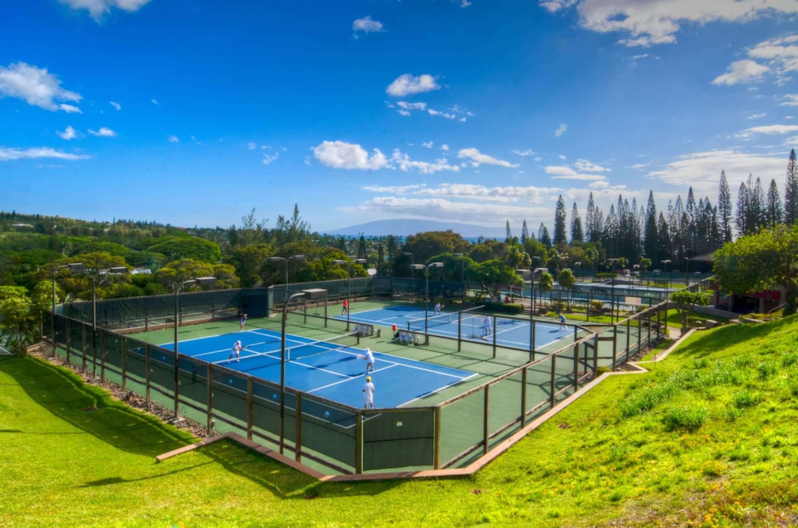Villa in Lahaina · ★4.96 · 1 bedroom · 2 beds · 1.5 baths - Image 84