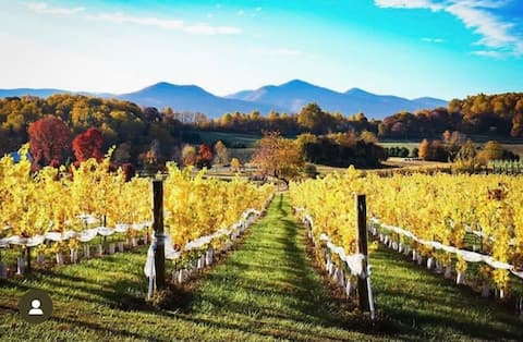 Vintner’s Vineyard Cottage near W&L,VMI