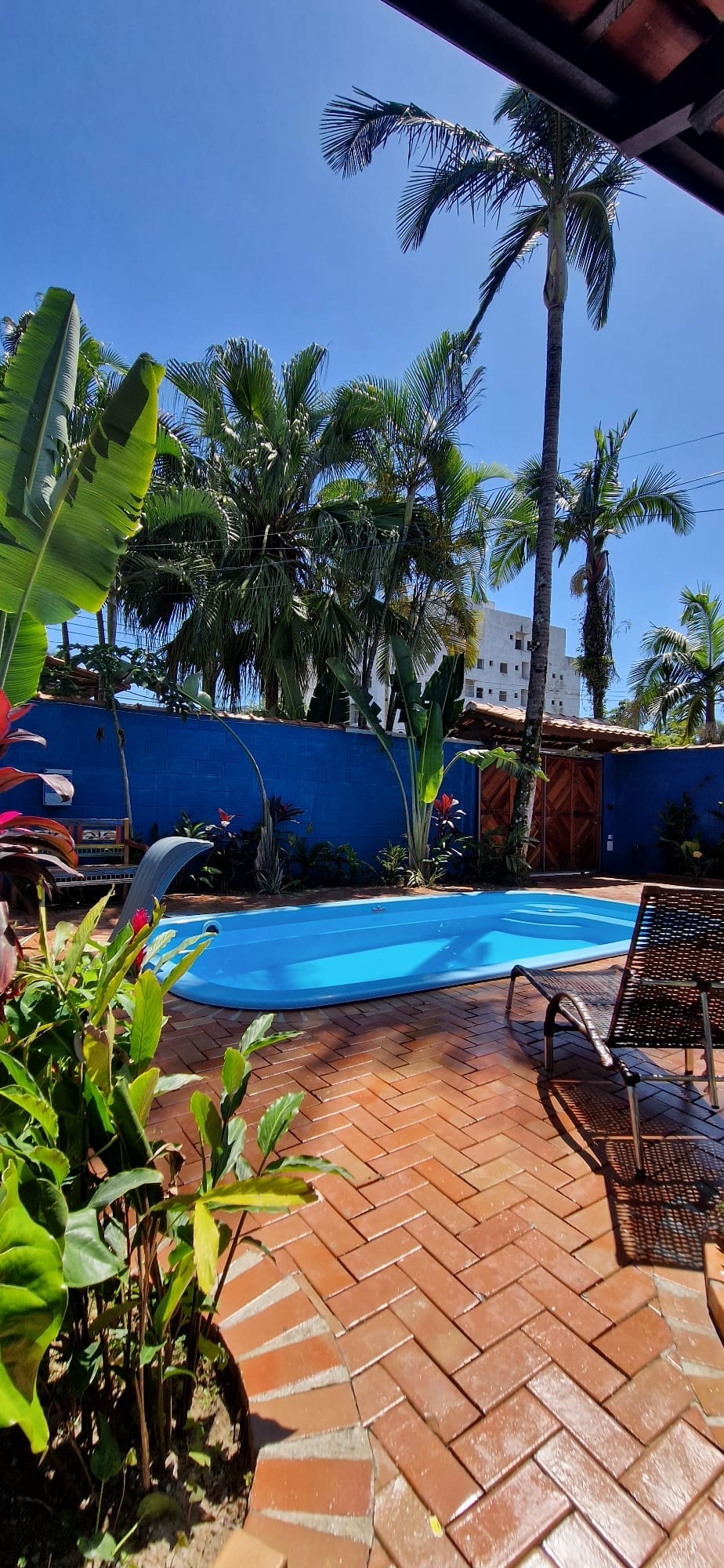 A well-maintained pool is surrounded by vibrant tropical plants and flowers, creating a tranquil outdoor space. The pool is framed by a patterned patio of terracotta tiles, with lounge chairs positioned nearby. Palm trees provide shade under a clear blue sky.