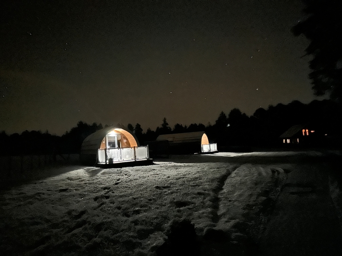 Two illuminated pods are seen against a night sky, each featuring a welcoming entrance and surrounded by softly glowing pathways. The landscape is tranquil, with a gentle blanket of snow covering the ground, creating a serene outdoor environment.