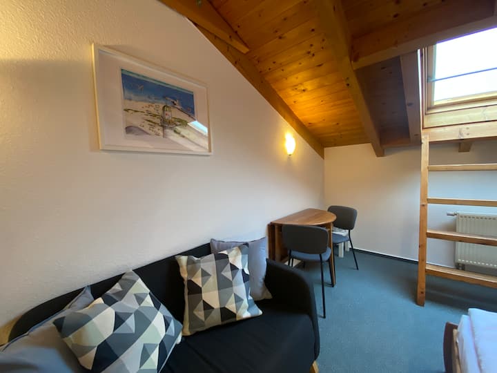 Dnevni boravak/spavaća soba