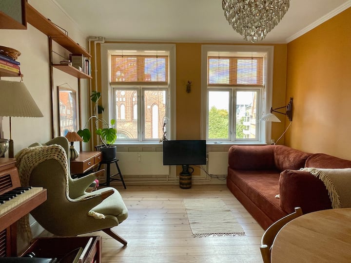 Central Apartment With Roof Top - Copenhague