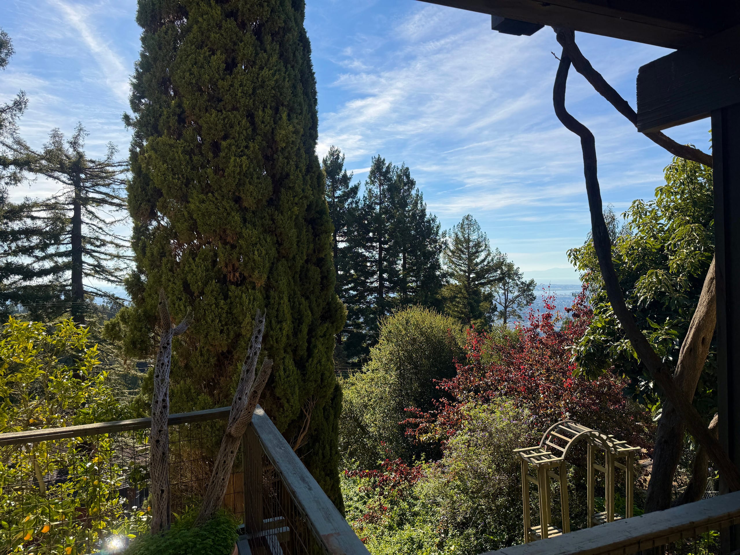 Spanish Home with Bay Views & Gardens - Photo 46