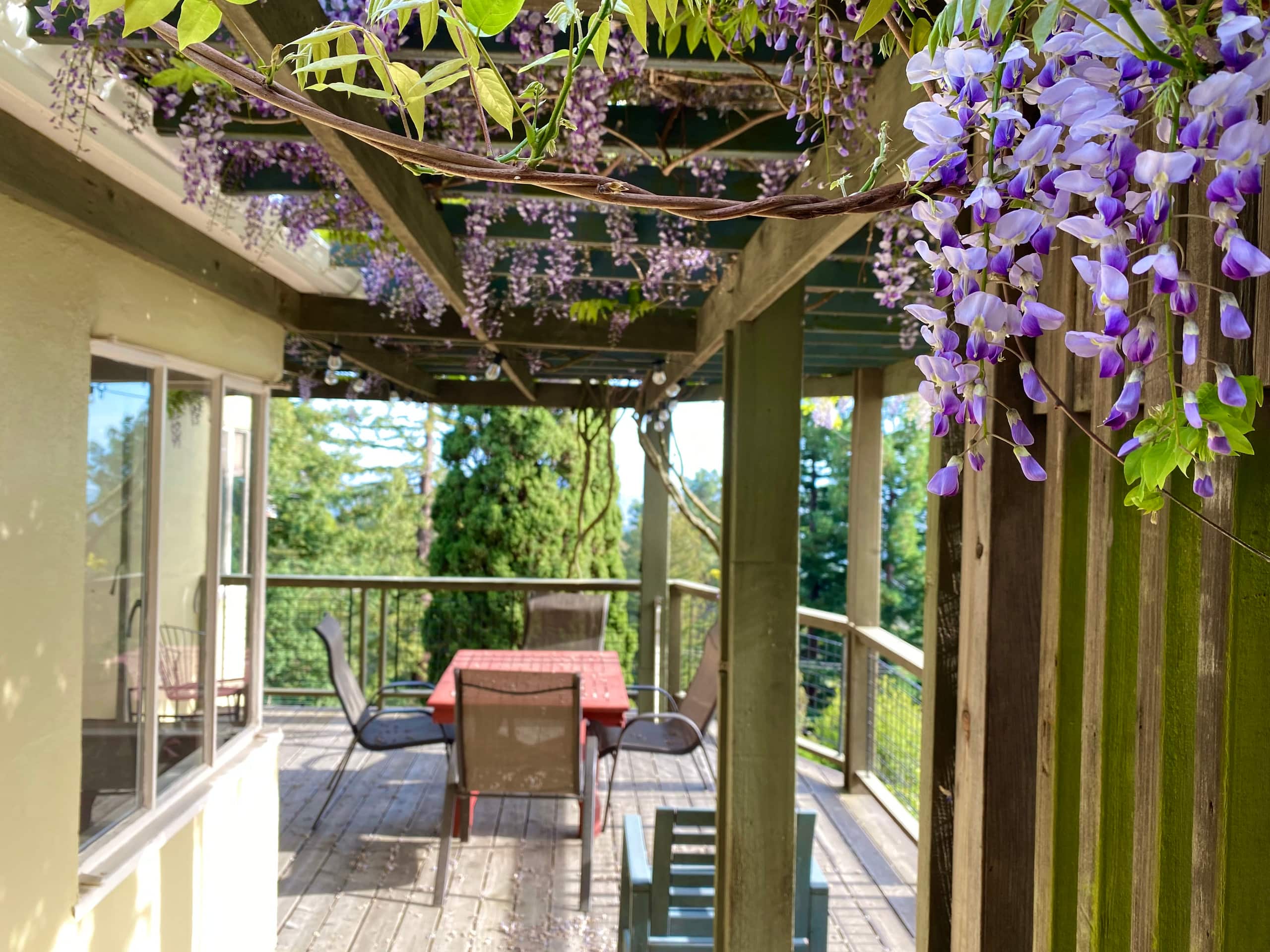 Spanish Home with Bay Views & Gardens - Photo 39