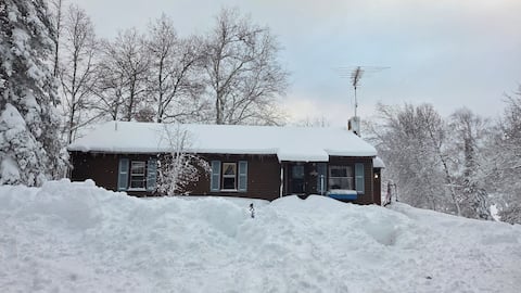 Birch Haven: Welcome snowmobile/ice fishing folks!