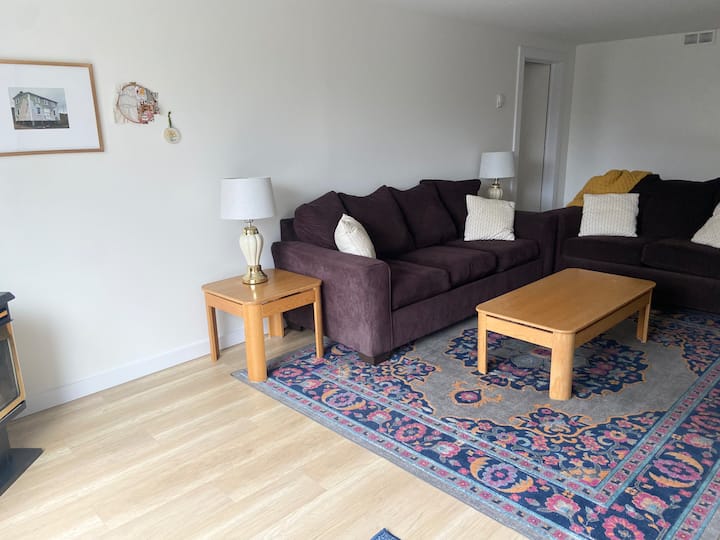 Spacious One Bedroom Apartment - Corner Brook