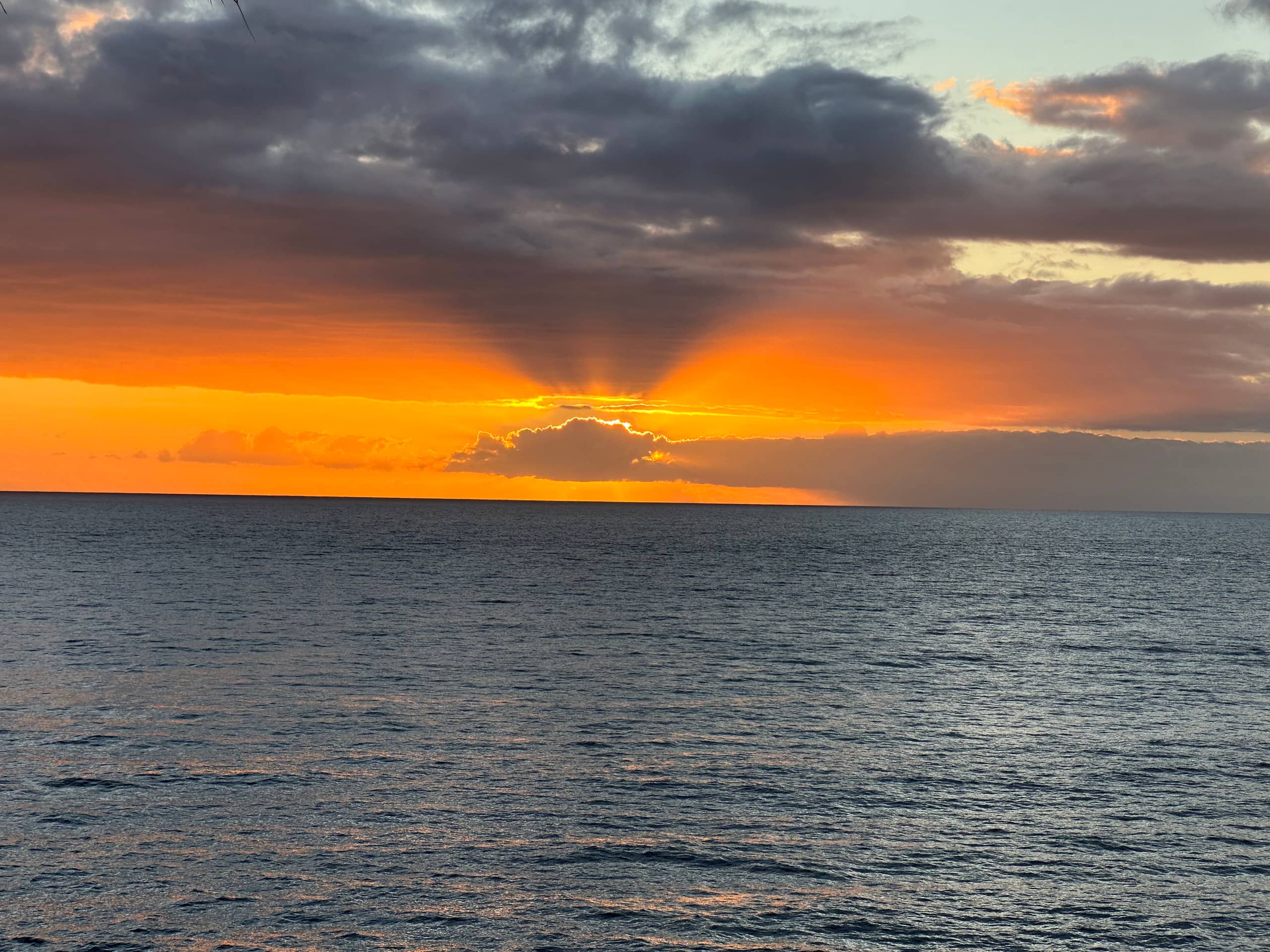 Condo in Kailua-Kona · ★4.95 · 1 bedroom · 1 bed · 1 bath - Image 6