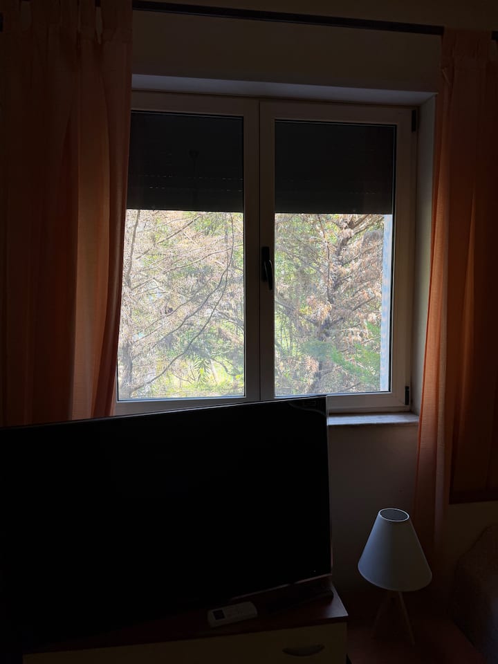 Habitación 2