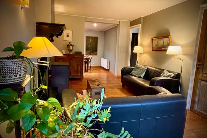Charming & Historic Villa, Garden + Free! Parking - Gent