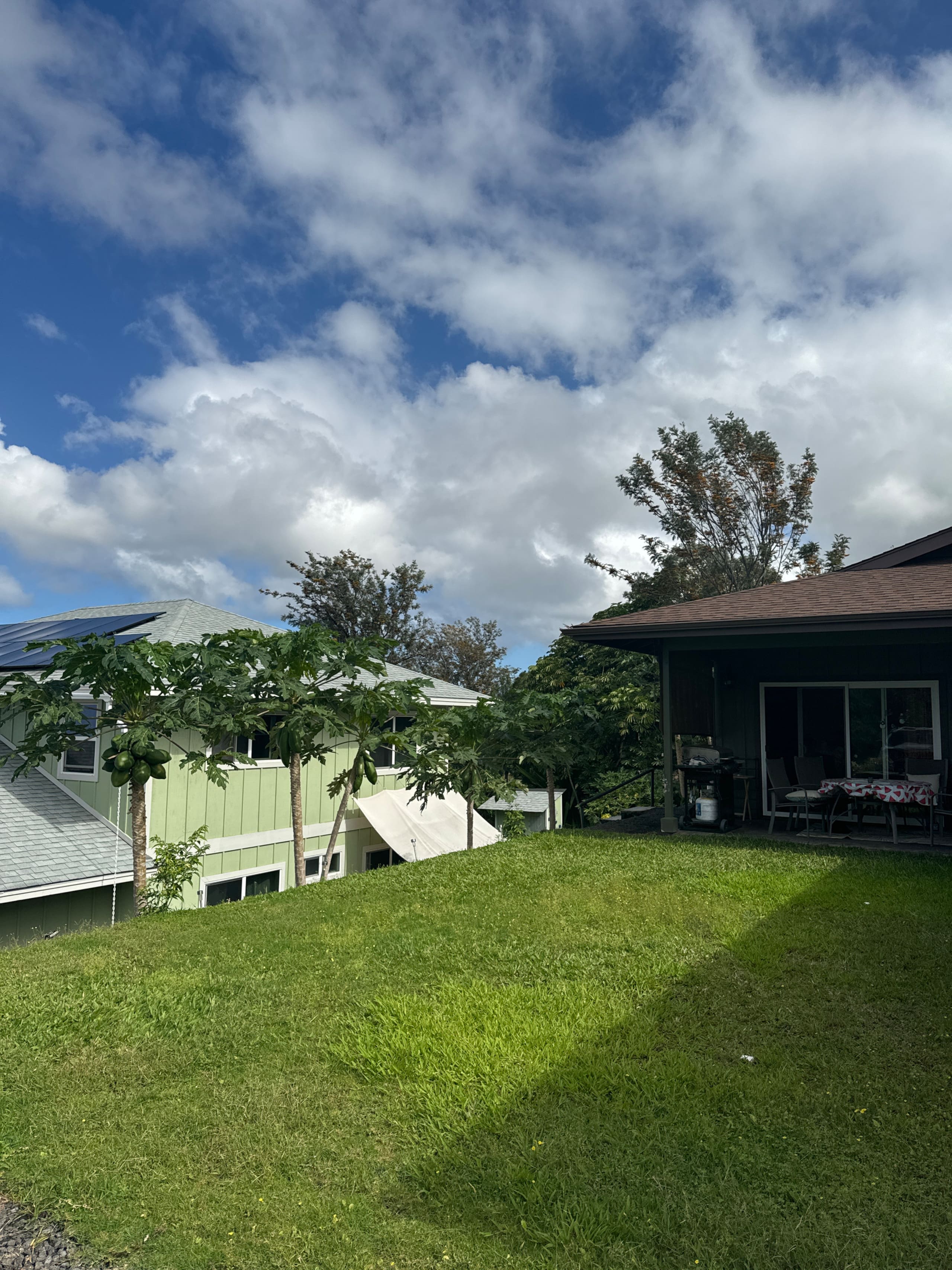 Guesthouse in Kailua-Kona · ★4.98 · 1 bedroom · 1 bed · 1 shared bath - Image 7