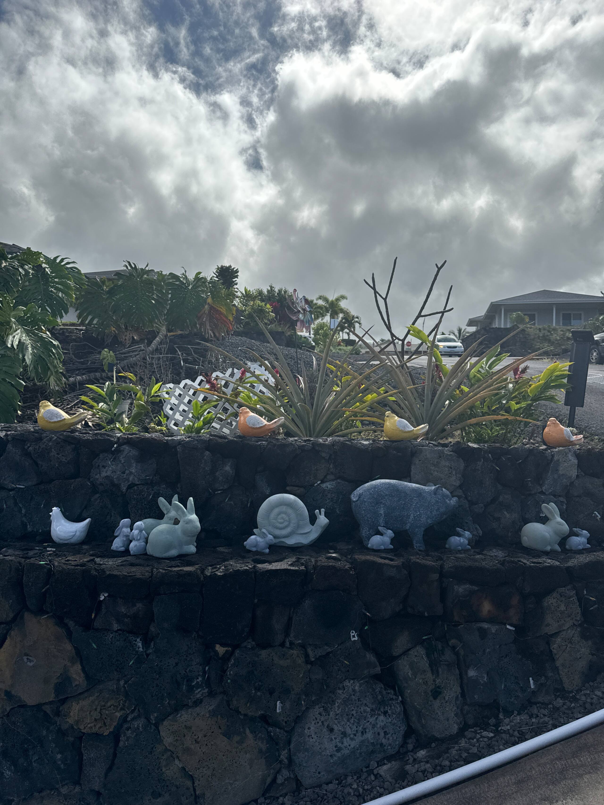 Guesthouse in Kailua-Kona · ★4.98 · 1 bedroom · 1 bed · 1 shared bath - Image 10