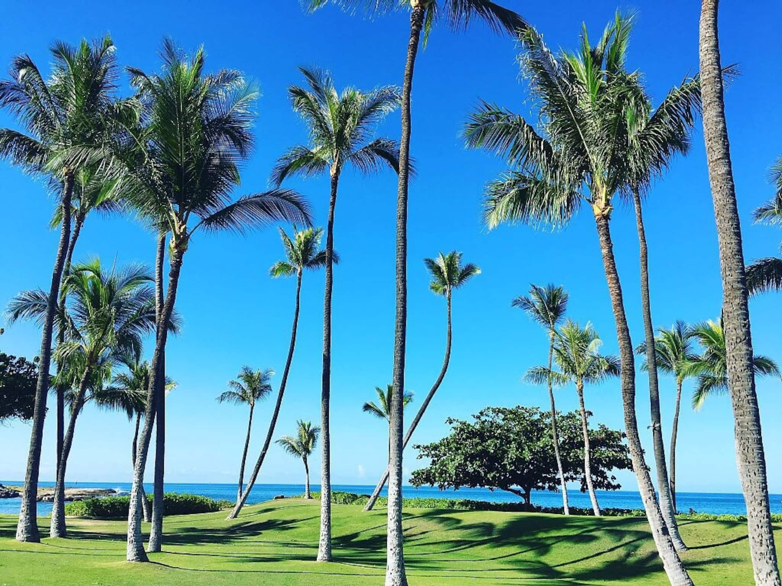 Condo in Kapolei · ★4.83 · 3 bedrooms · 5 beds · 2 private baths - Image 31