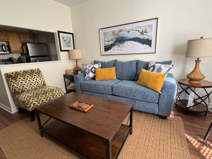 Piedmont Park Condo - Heart Of Midtown Atlanta - Atlanta, GA