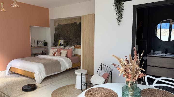 ⚜️ Loft De Prestige Dans Un Hôtel Particulier - Angers