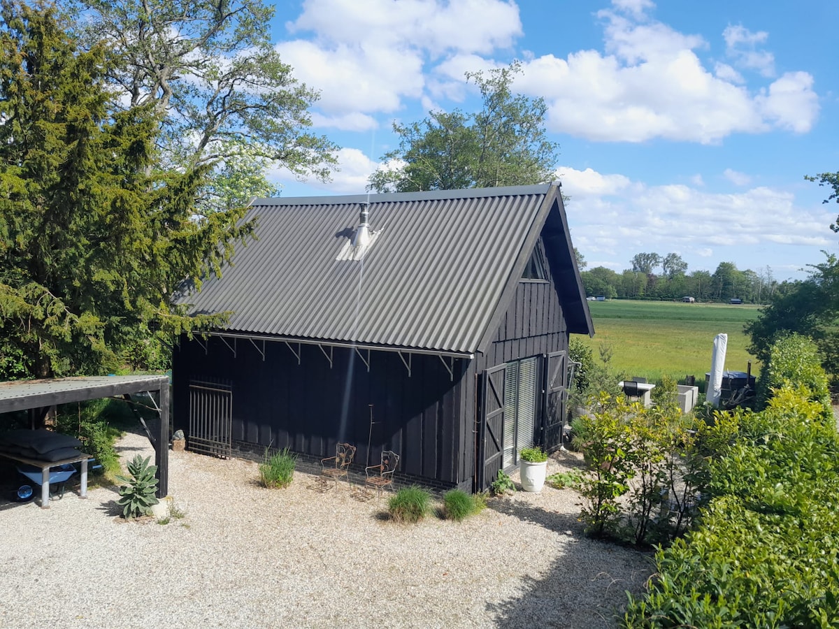 A modern lodge is presented with a sleek black exterior and a metal roof. The surrounding landscape features green fields and trees under a clear blue sky. Gravel paths lead to the entrance, complemented by various plants and shrubs that enhance the natural setting.