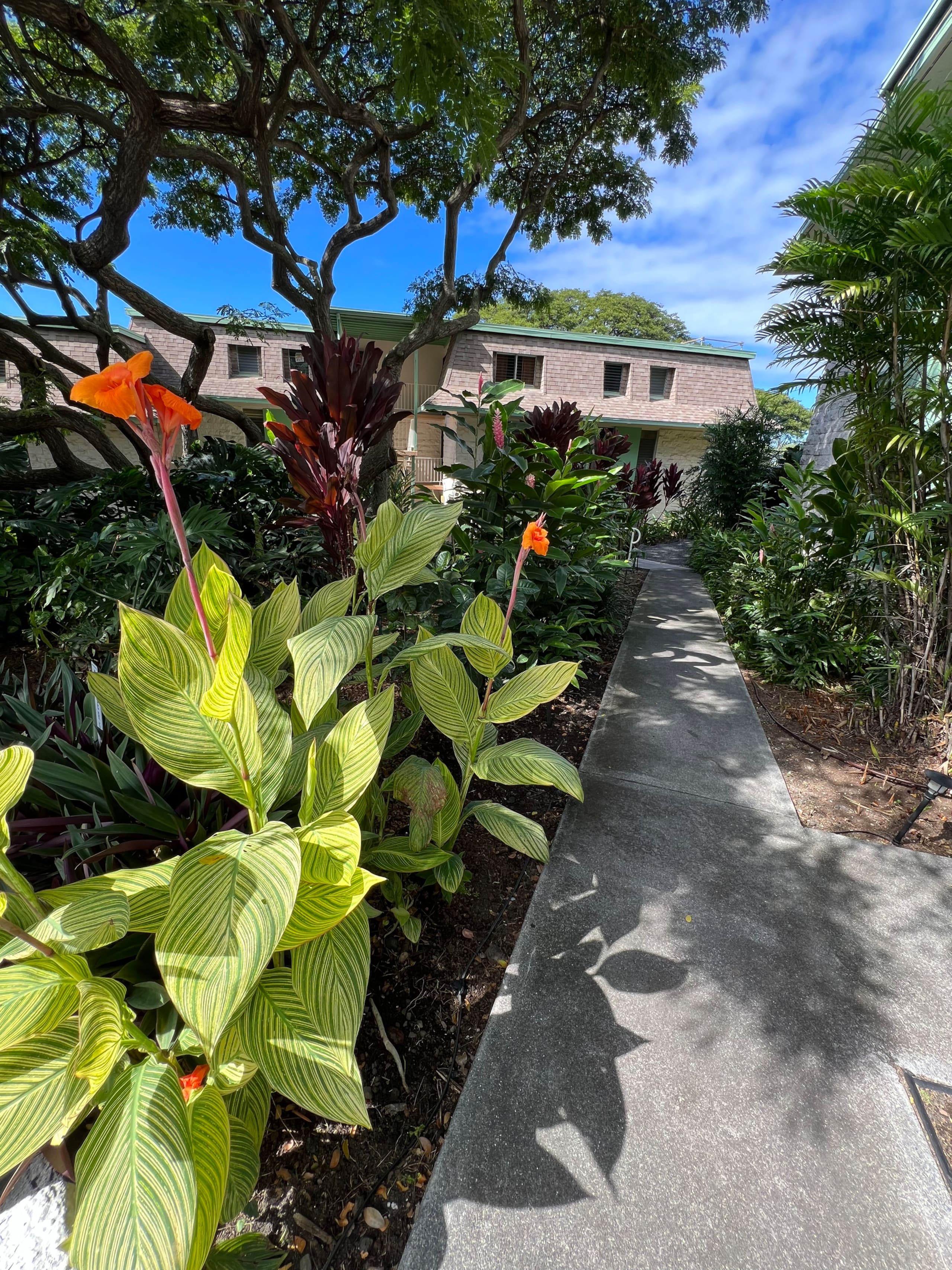 Condo in Kailua-Kona · ★4.93 · 1 bedroom · 2 beds · 2 baths - Image 26
