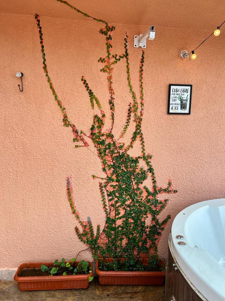 Patio image 2