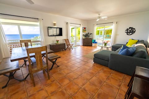 Popular Airbnb listing: Brizan. Quiet Reef Bay Villa celebrating 8 years! in Cruz Bay