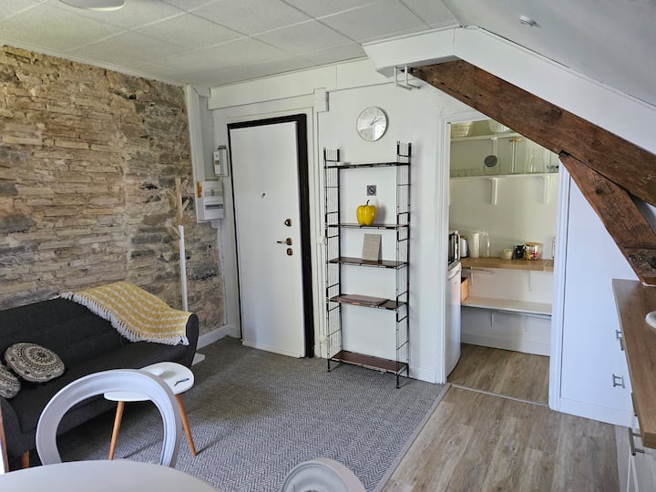 Très Joli Appartement Entièrement Rénové, Calme. - Bayonne
