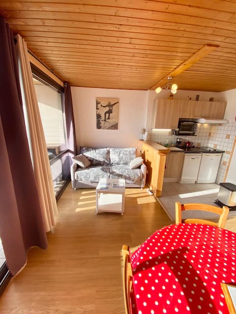 Successful Airbnb property: Studio in the center, south-facing in Arâches La Frasse