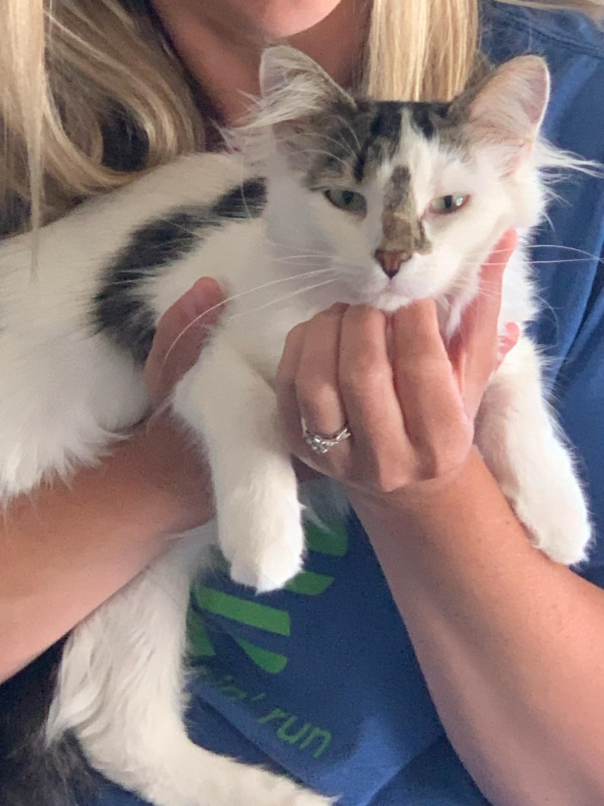 The Cat House! - Houses for Rent in Goodview, Minnesota, United States -  Airbnb