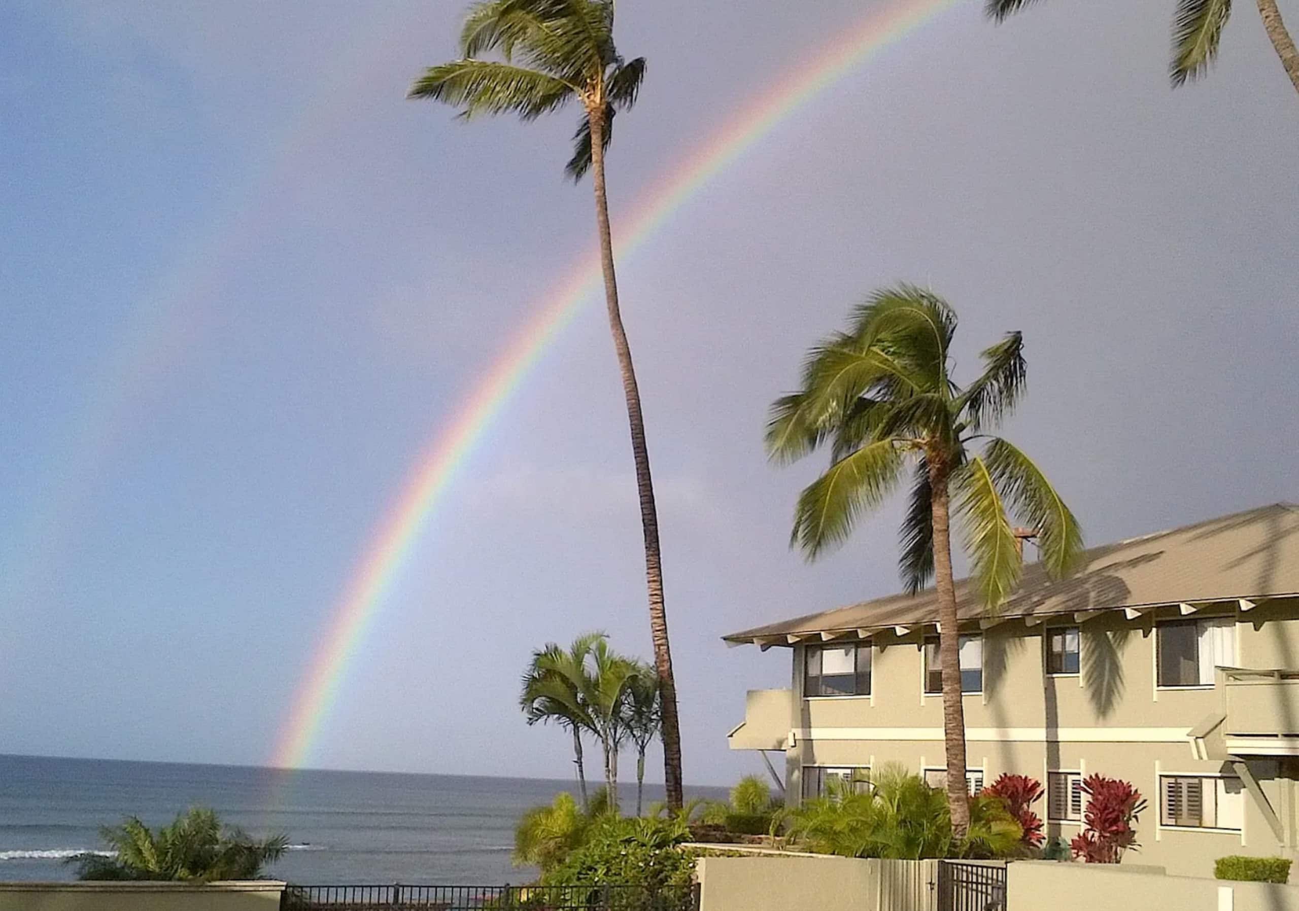 Condo in Kihei · ★4.93 · 3 bedrooms · 5 beds · 2 baths - Image 31