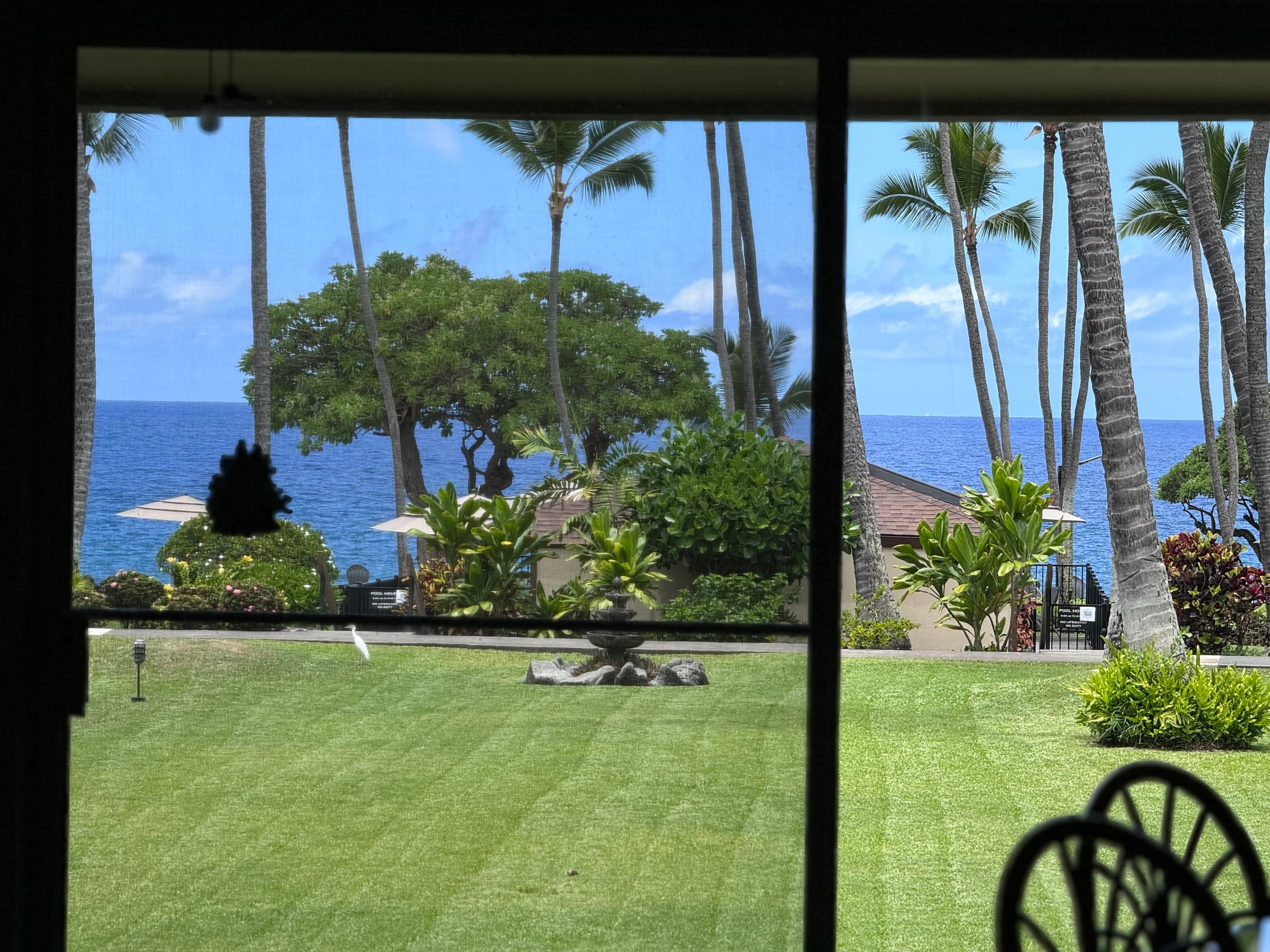 Condo in Kailua-Kona · ★4.94 · 1 bedroom · 2 beds · 1 bath - Image 3