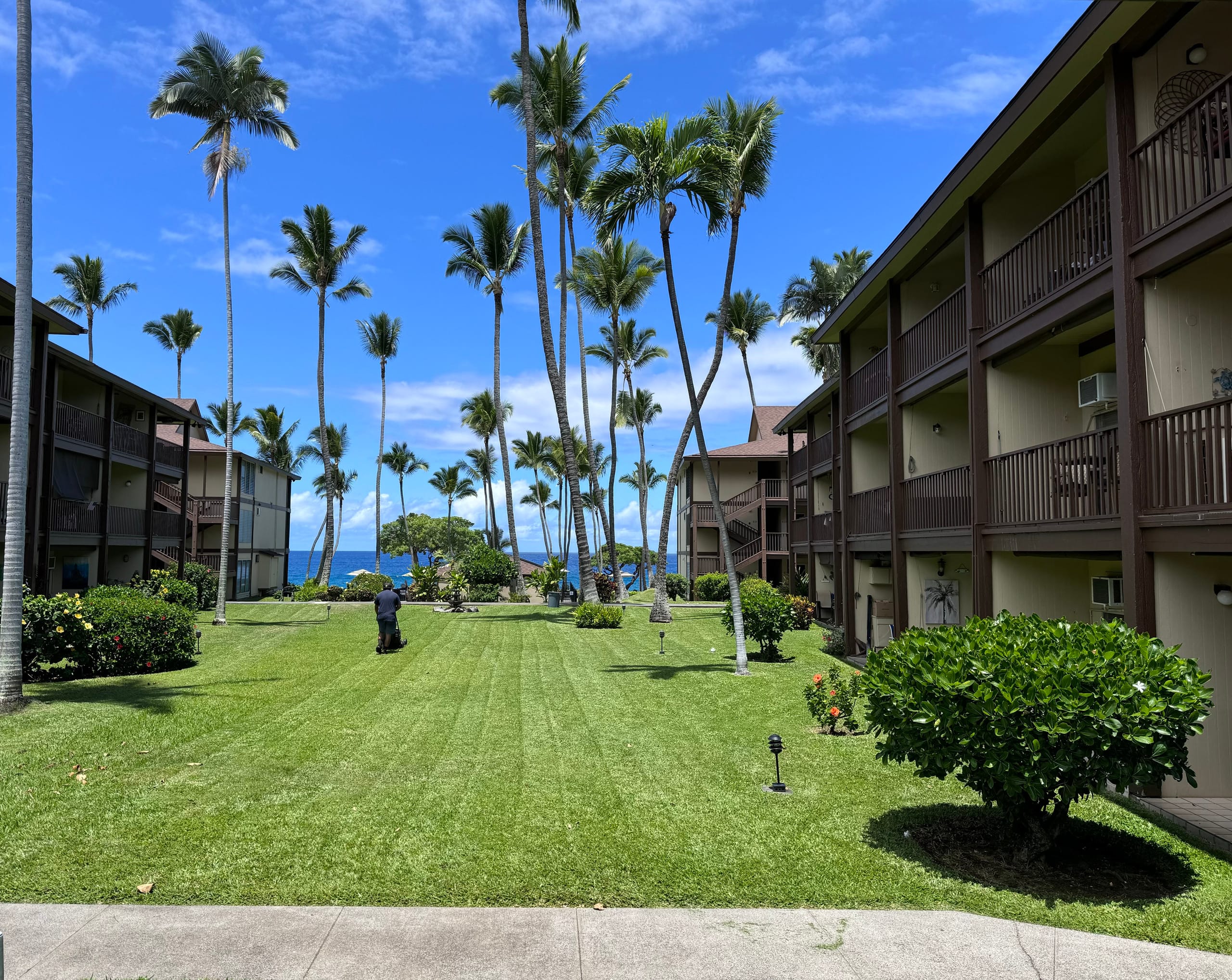 Condo in Kailua-Kona · ★4.94 · 1 bedroom · 2 beds · 1 bath - Image 10