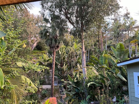 NEW! Canyon Retreat w/View - Walk to Beach & Town