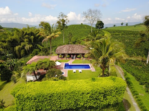 Farm in the heart of the Coffee Region (Vereda La Plata)