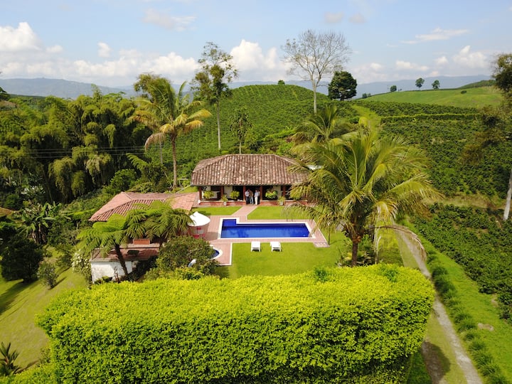Farm in the heart of the Coffee Region (Vereda La Plata)