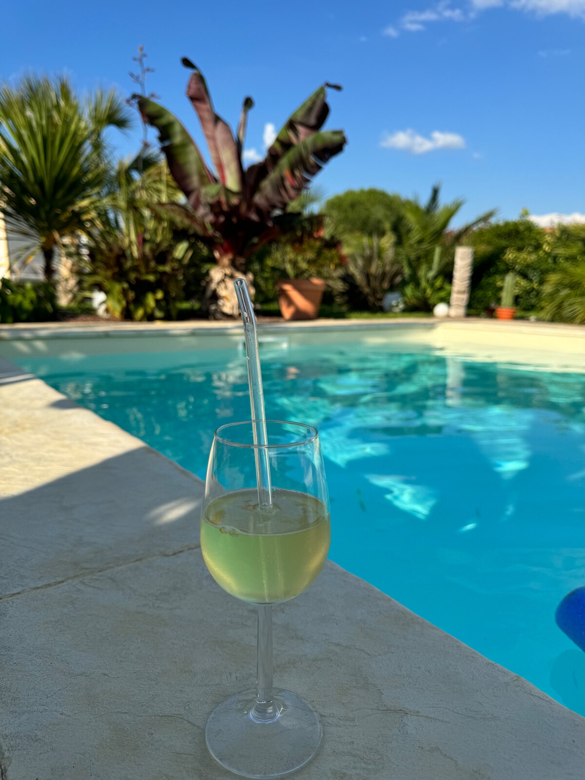 A refreshing drink is positioned on the edge of a glistening pool, surrounded by vibrant tropical plants. The clear blue water reflects the clear sky above, creating a serene atmosphere for relaxation.