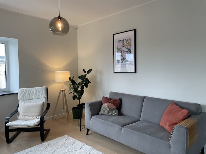 Bright & Spacious Flat With City View & Workplace - Talín