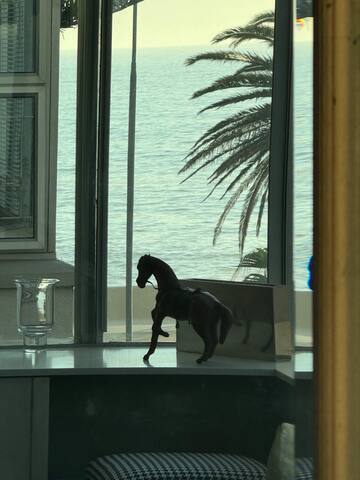 Superb,Beachfront,secure, stylish, cosy 2 bed