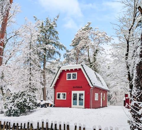 Chalet Citola (100 m2) in wooded area