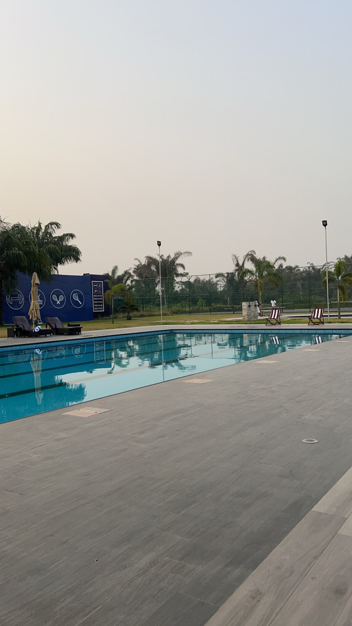 A serene pool area is visible with crystal clear water reflecting the palm trees surrounding it. Comfortable lounge chairs are positioned poolside, providing an inviting spot for relaxation. Soft sunlight casts a gentle glow over the scene, enhancing the tranquil atmosphere.