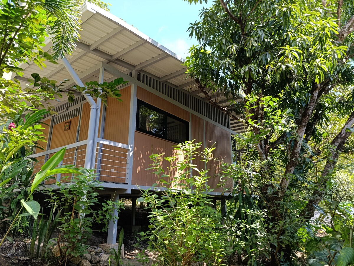 A cozy lodge is nestled among lush greenery, featuring wood paneling and large windows inviting natural light. The structure is elevated on stilts, surrounded by various tropical plants, offering an immersive connection with nature.