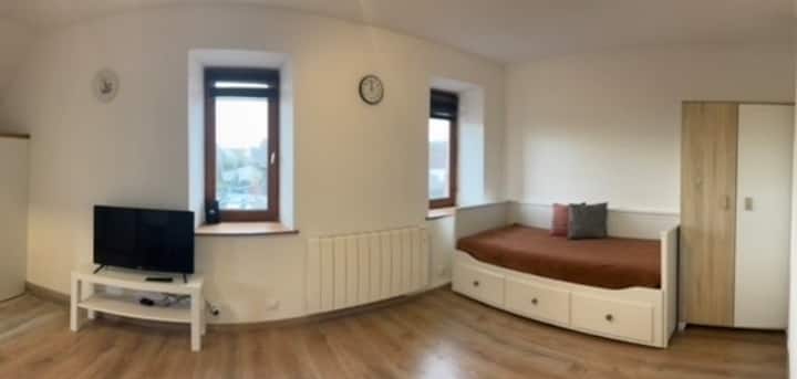 Studio Au Pied Des Vosges - Cernay