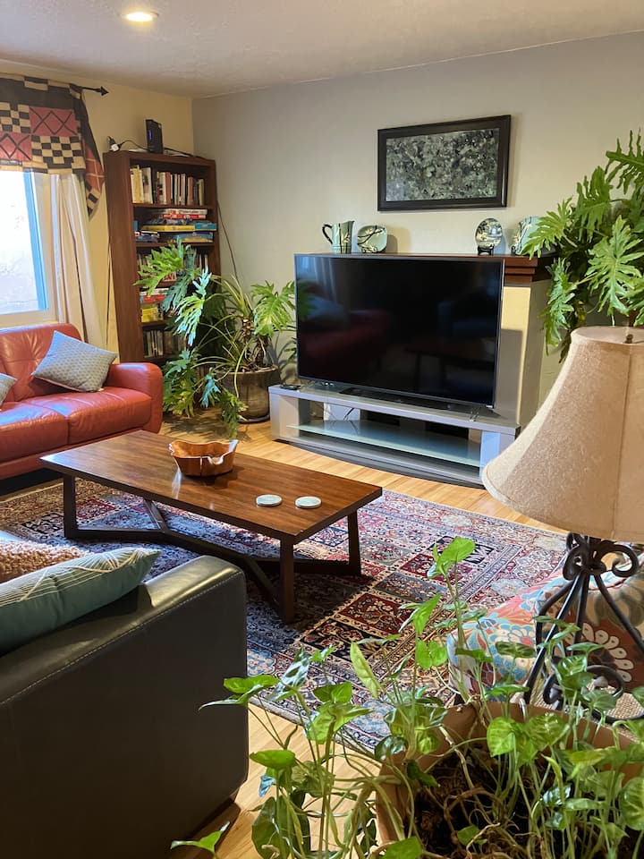 Fabulous 3 Br 2 Bathroom House, Pool And Hot Tub. - Albuquerque, NM