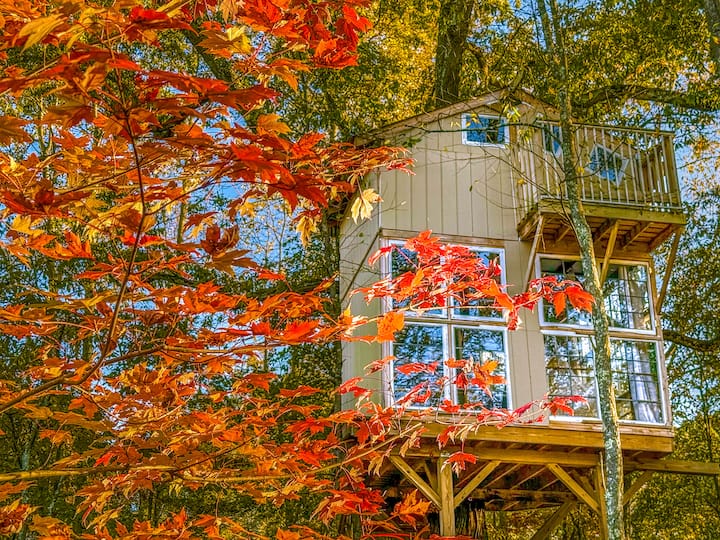 The Cranberry Limited - Treehouses for Rent in Cranberry Township