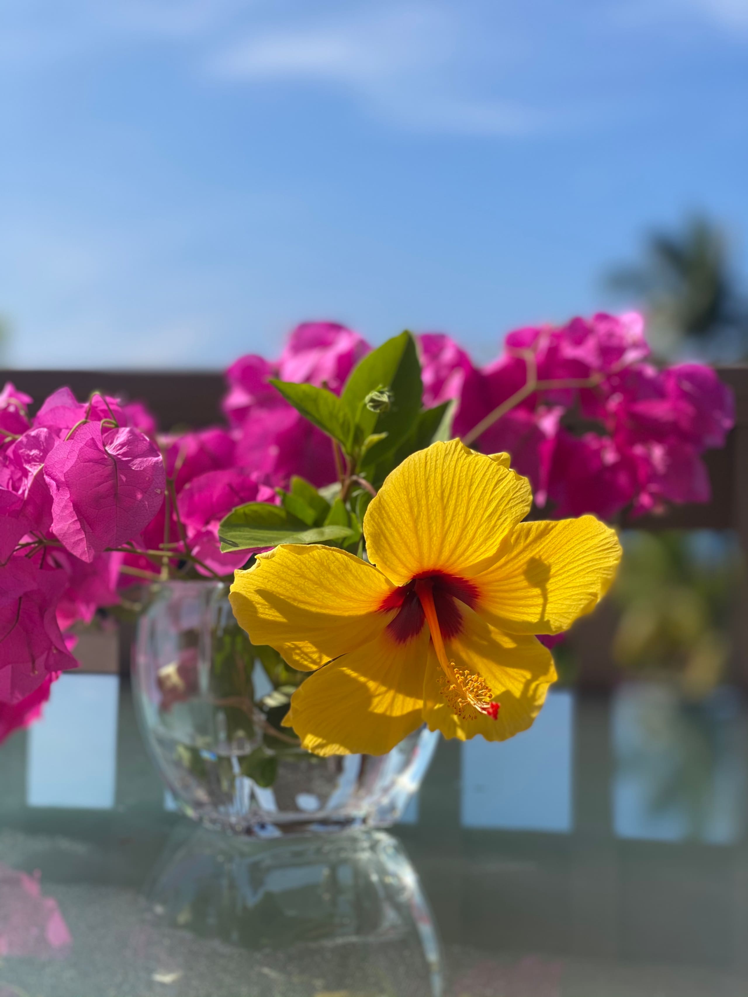 Townhouse in Kailua-Kona · ★4.75 · 1 bedroom · 2 beds · 1 private bath - Image 21