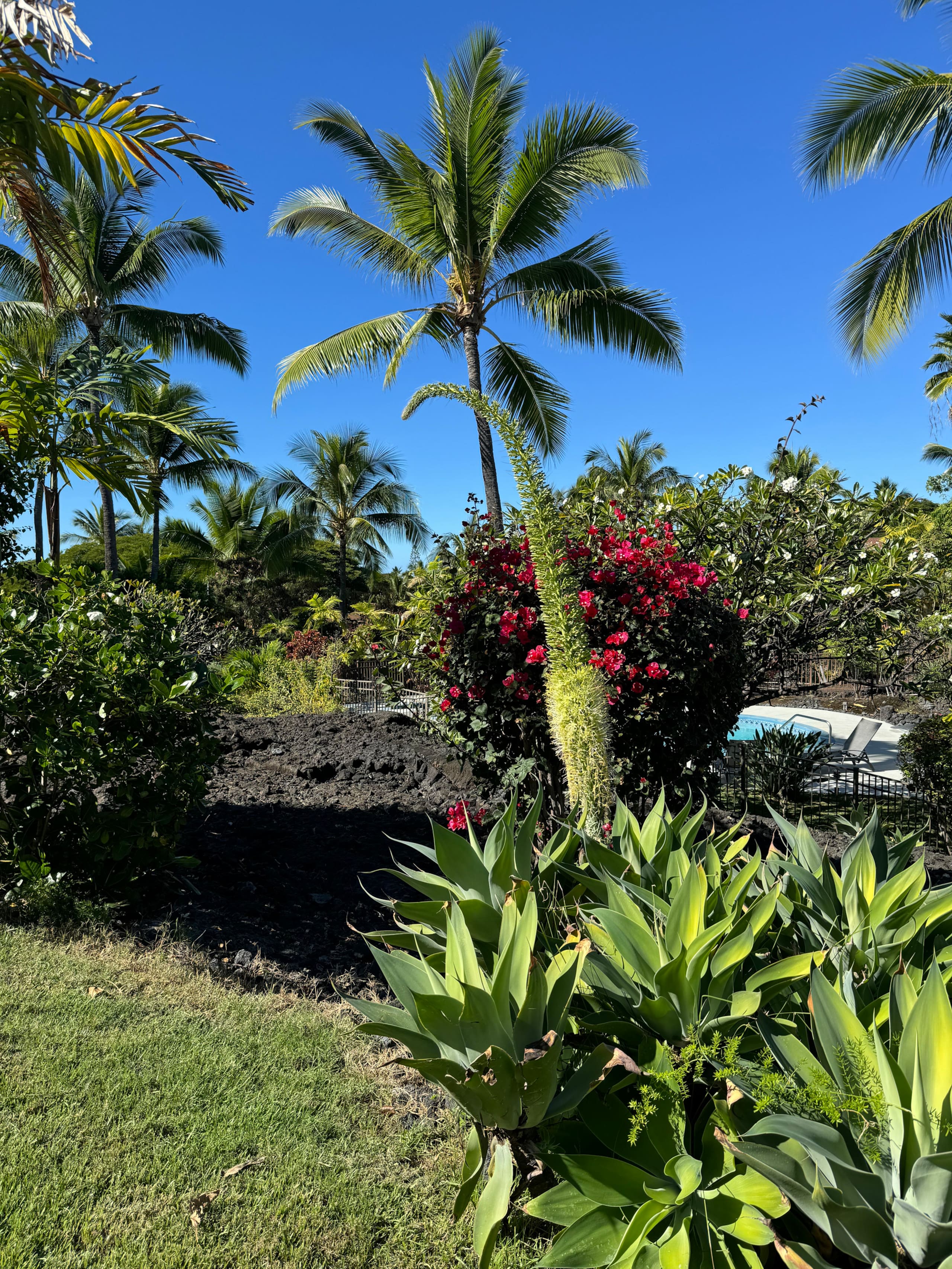 Townhouse in Kailua-Kona · ★4.75 · 1 bedroom · 2 beds · 1 private bath - Image 15
