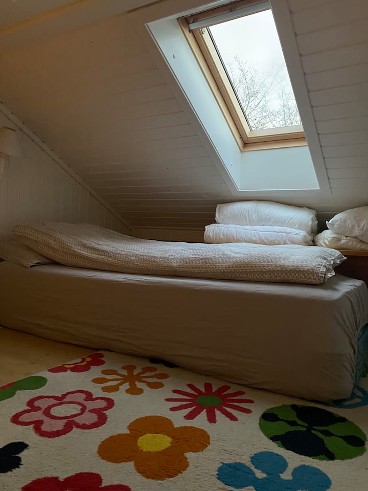 Área de la habitación