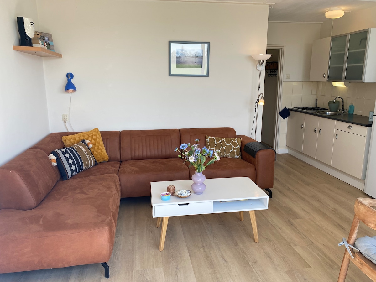 Top performing Airbnb: Lieuw, 4p cottage with front and back unobstructed views! in De Cocksdorp