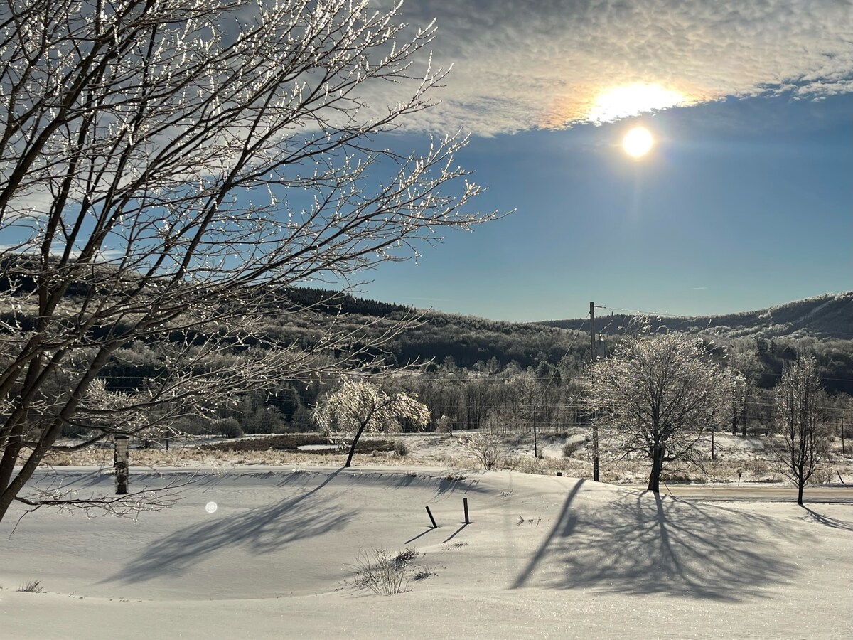 A winter landscape captures a sunlit scene with a bright sun rising above snow-covered hills. Icicles cling to bare branches, and the glistening snow reflects the sunlight. Shadows from trees stretch across the white ground, creating a serene atmosphere.